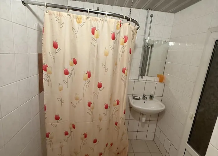 Homestay Virsutine 9 Pirtis *